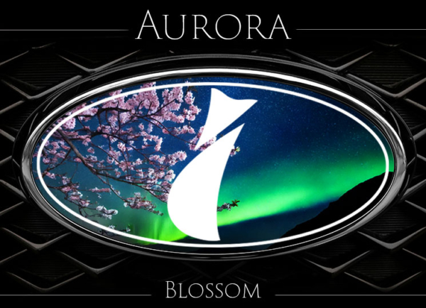 Subaru Limited Edition Badge Overlays - Aurora - Image 6